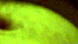 Can I lick your pregnant slut? blowjob sucking rimjob