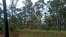 neighbor's pole gets ridden, my girl prepares next