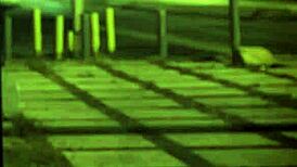 Female muscle domination first time