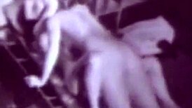 want to see two centuries of vintage porn?