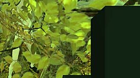 Bad grandpa in secondlife part 1