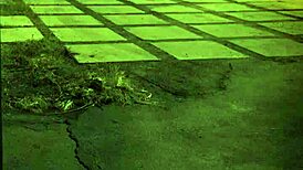 Female muscle domination first time