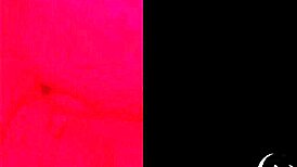 my wife teases with big tits and ass