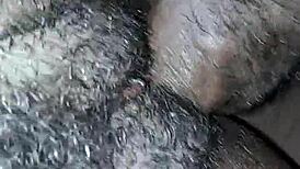 Big l amateur video highlights