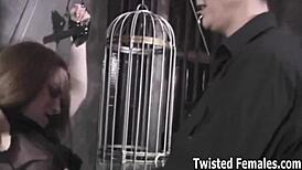 Check out my friend's BDSM dungeon!