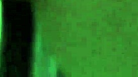 latina chick getting hardcore sex with big black cock creampie