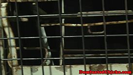 Tt sub milf drilled from behind by maledom