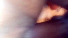 thick detroit chick getting nailed hard in her wet pussy