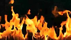 snake in the grass part 1 - want to see the sex?