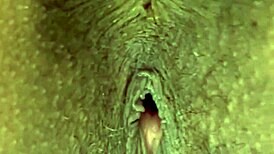 Petite ebony takes monster cock deep in hardcore webcam