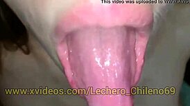 I set up a hidden camera while watching porn with my cousin, and we ended up having hardcore sex in her bed