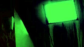 did i just fuck kitty li's vagina through anal casting?