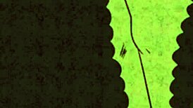 Cell Absorbs Insides Pack Amv Body Party