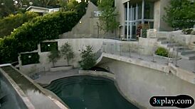 four singles enjoy each other's company in reality show