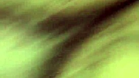 I bent her over and fucked her juicy pussy doggy style, feeling that big cock throb.