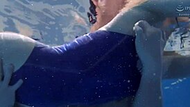 I Share The Full Version Link