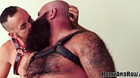 victor west says, 'drake michaels fucks me rough and bareback'