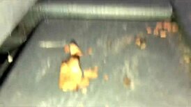 loyalty dick sucked outside or in the van.