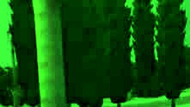 two milfs are having so much fun with that big black cock in the sims - promo