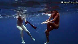 steamy underwater adventures on tenerife coast