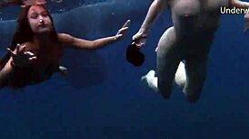 steamy underwater adventures on tenerife coast