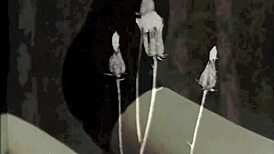 Ever wondered about my secret life back in Soho Square with vintage gay vibes?