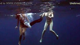 steamy underwater adventures on tenerife coast