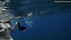 steamy underwater adventures on tenerife coast