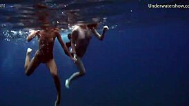 steamy underwater adventures on tenerife coast