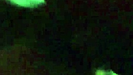 lil squishy point of view squirting pov creampie big black cock monster cock ebony black