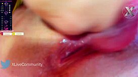 Bored Stepsisters Lick Pussies Wildly on Webcam