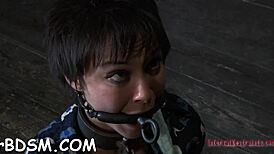 the cuties submit completely, sucking and getting rough fucked