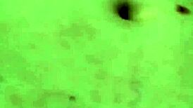 I scream and humiliate my fat mother-in-law