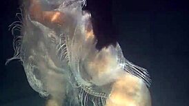 Polcharova and Siskina, Wet Horny Underwater Lesbians