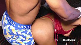 Massive anal training for amari gold with huge big black cock