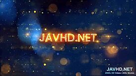 Exploring legs in stockings volume 37