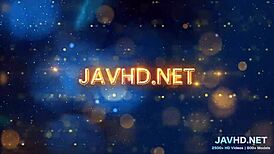 Exploring legs in stockings volume 37