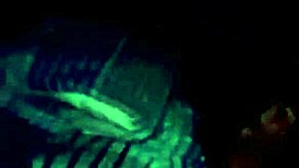 Yorgelis Kent and Erika Schwarzenberg Venezuelan Sex