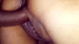 latina gets licked and creampied!