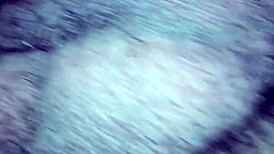 let's have some vanilla good sex with a massage