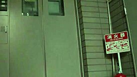 i can’t stop staring at the busty japanese student next door.