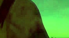 Shannon's Wild Party Secrets Unveiled