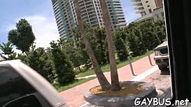 Satisfying that hungry wild pecker!