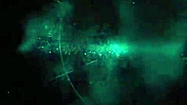 stockings wearing hotties chloe lane and maci may share a lucky moment