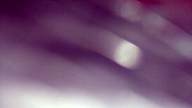 Sexy Butterfly And Y-Ez Fucking With Big Cock Homemade Amateur