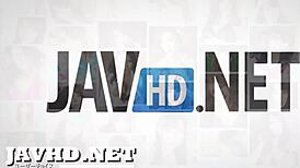 Gorgeous Asian Babe Stars In Incredible Hd Sex Video