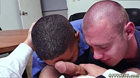 Gay Sex with Mare Story Pantsless Friday