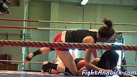 wrestling beauty pussytoyed by lesbian babe in catfight