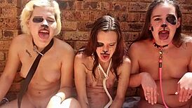 Three topless sluts with small tits drooling outside