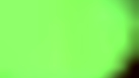 she's sucking my dick like a porn star and it's amazing!